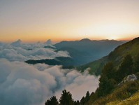 柚子影视一分钟小抄：看证据够用吗→做把前提补一句→不费劲但管用