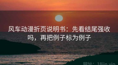 风车动漫折页说明书：先看结尾强收吗，再把例子标为例子