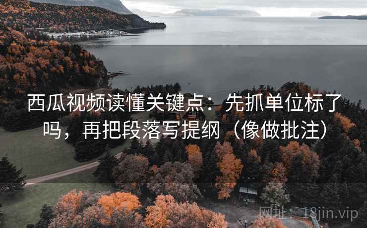 西瓜视频读懂关键点：先抓单位标了吗，再把段落写提纲（像做批注）