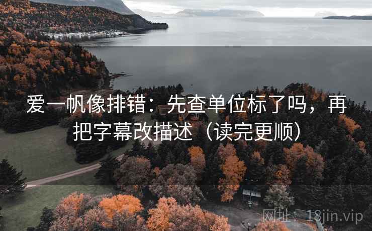 爱一帆像排错：先查单位标了吗，再把字幕改描述（读完更顺）